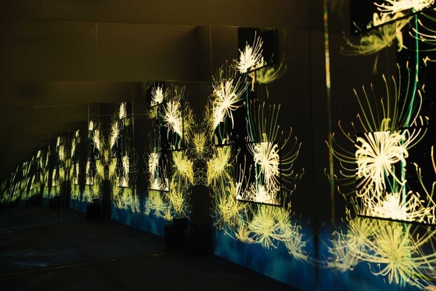 OLED technology achieving perfect blacks and vibrant colors for accurate art representation.